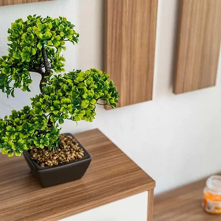 & Mara & Petrunjela - One Bedroom With Garden アパート ツァヴタット