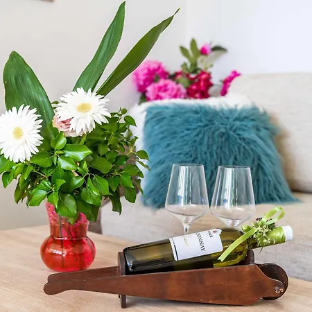 アパート & Mara & Petrunjela - One Bedroom With Garden ツァヴタット