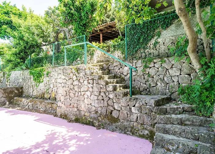 & Mara & Petrunjela - One Bedroom With Garden Cavtat