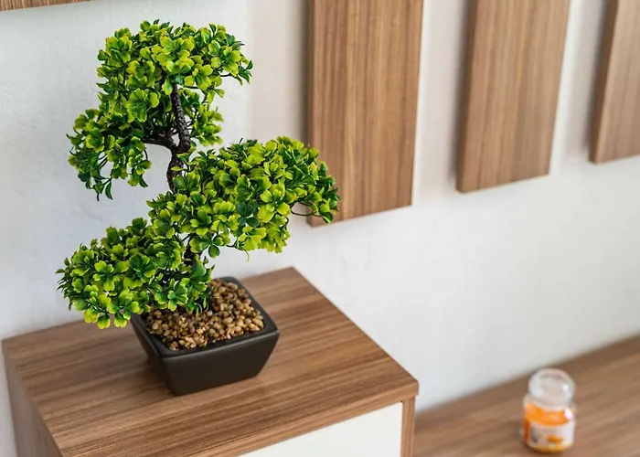 & Mara & Petrunjela - One Bedroom With Garden Daire Cavtat