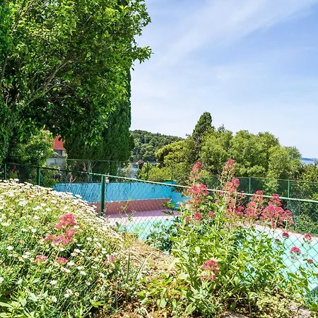 Apartament & Mara & Petrunjela - One Bedroom With Garden *