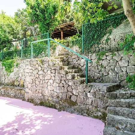 & Mara & Petrunjela - One Bedroom With Garden Cavtat